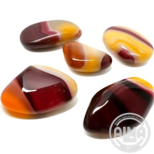 Mokaita  grupo con logo